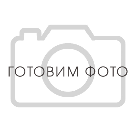 4061001200 Фильтр сепаратор